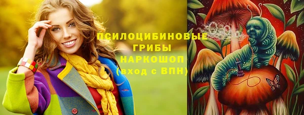 индика Губаха