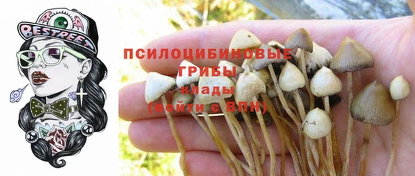 прущая мука Алексеевка
