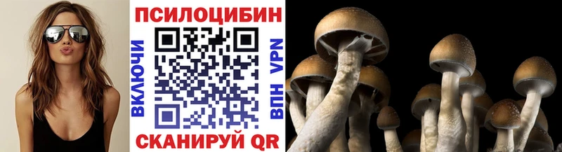 Псилоцибиновые грибы Cubensis  Солнечногорск 