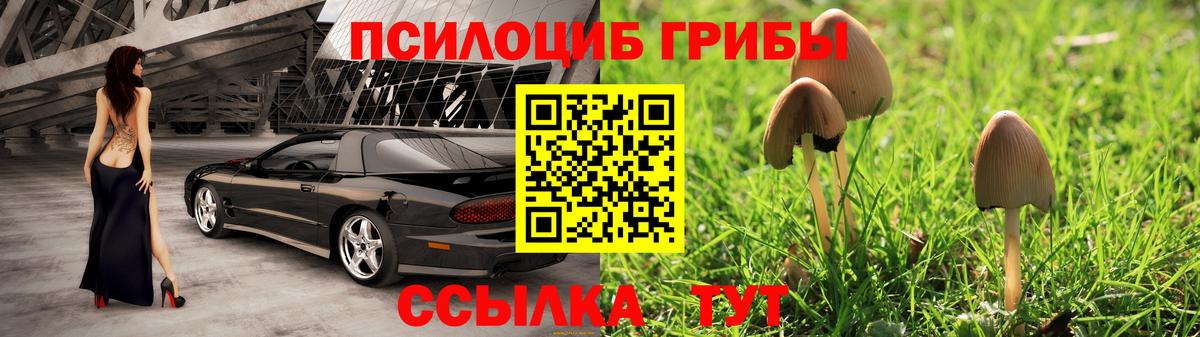 Псилоцибиновые грибы ЛСД  Вход с VPN  Солнечногорск 